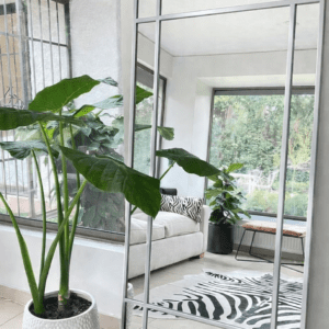 Espejo Cleme 180x80cm Espejo Cleme 180x80cm
